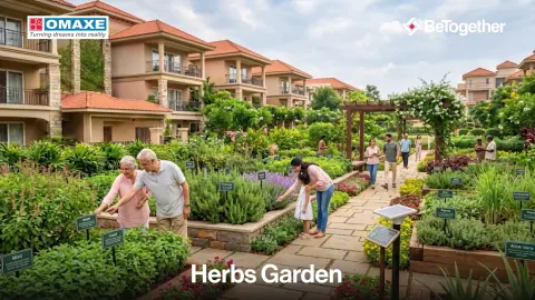 Herbs garden (artistic impression)